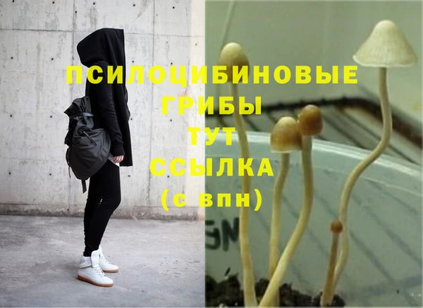 наркотики Алексеевка