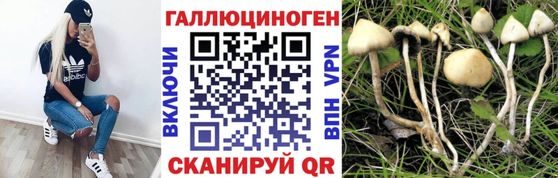 Псилоцибиновые грибы Cubensis  даркнет сайт  Юрьев-Польский 